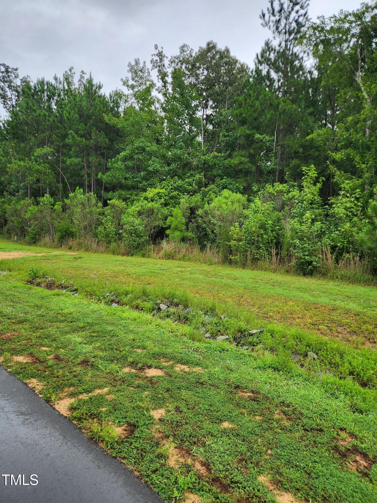1278 Cedar Grove Road Pittsboro, NC 27312 - Photo 5 of 7 a view of a grassy field with trees