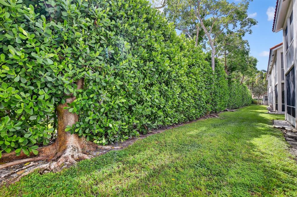 12614 Tiboli Chase Court, Unit 1 Boca Raton, FL 33496 - Photo 35 of 62 a view of a yard with plants and large trees