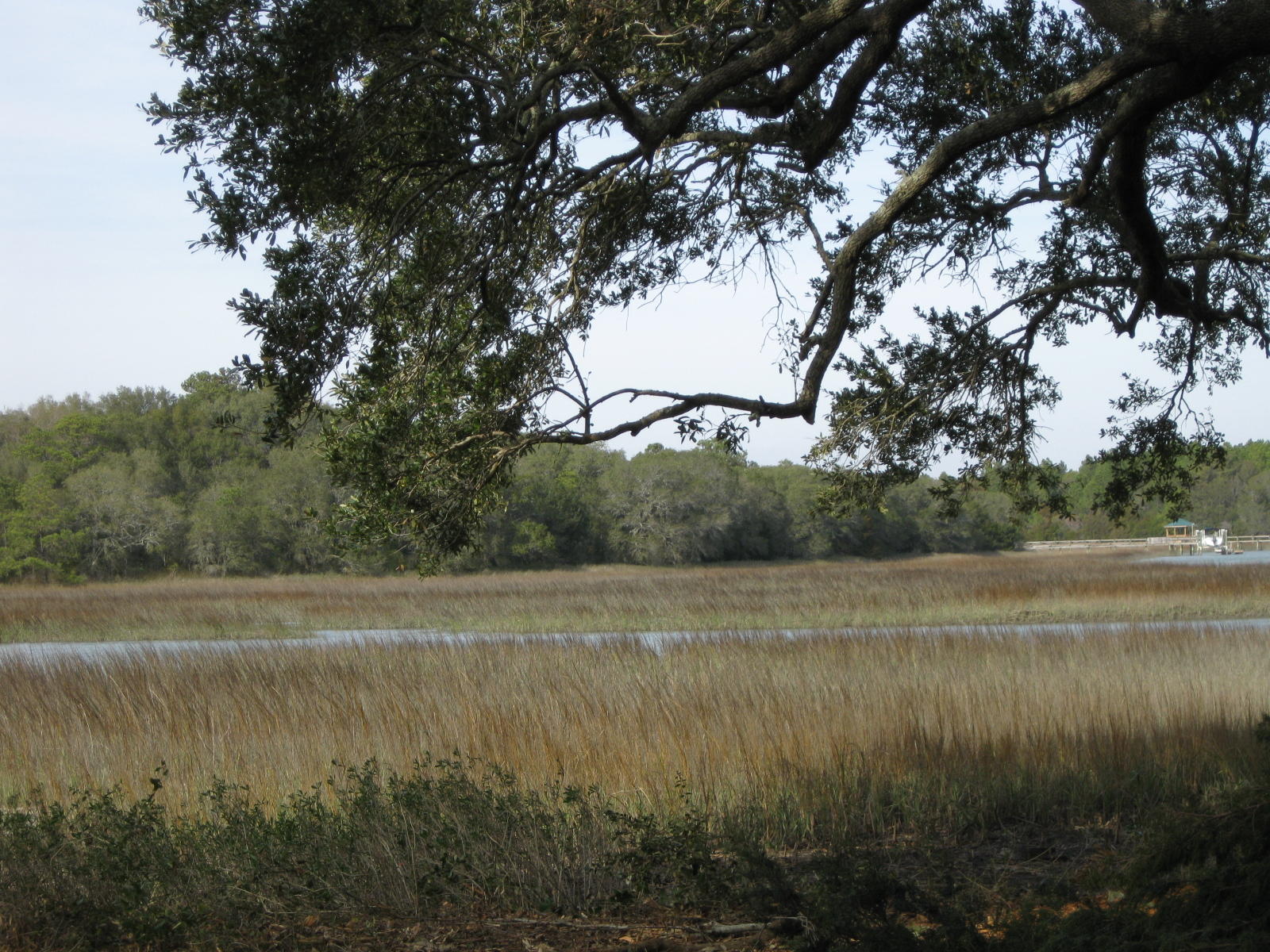 1683 Back Creek Road Charleston, SC 29412 - Photo 2 of 5 008