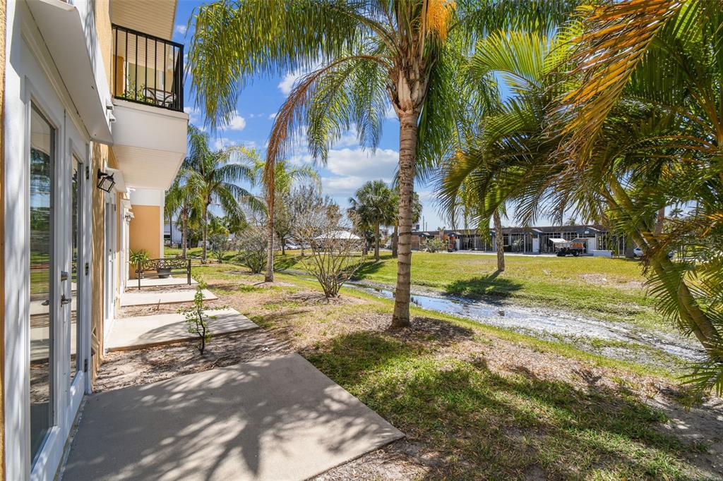 5088 Royal Palms Way, Unit 304 New Port Richey, FL 34652 - Photo 55 of 93 a view of a yard with palm tree