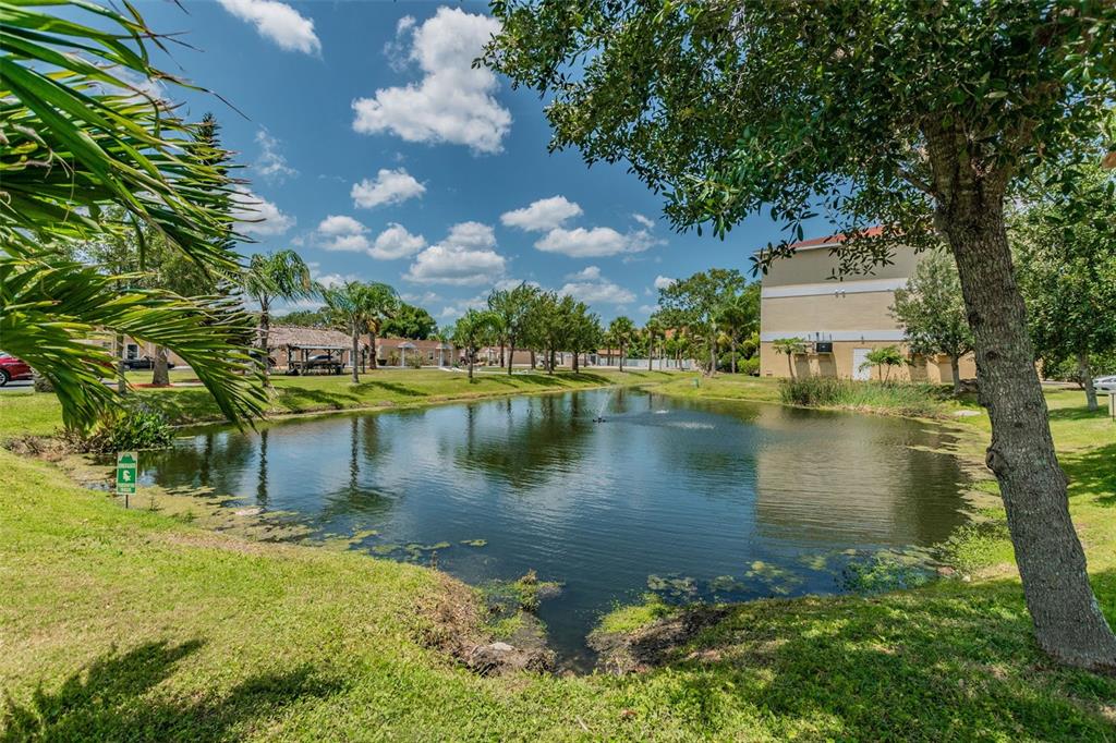 5088 Royal Palms Way, Unit 304 New Port Richey, FL 34652 - Photo 74 of 93