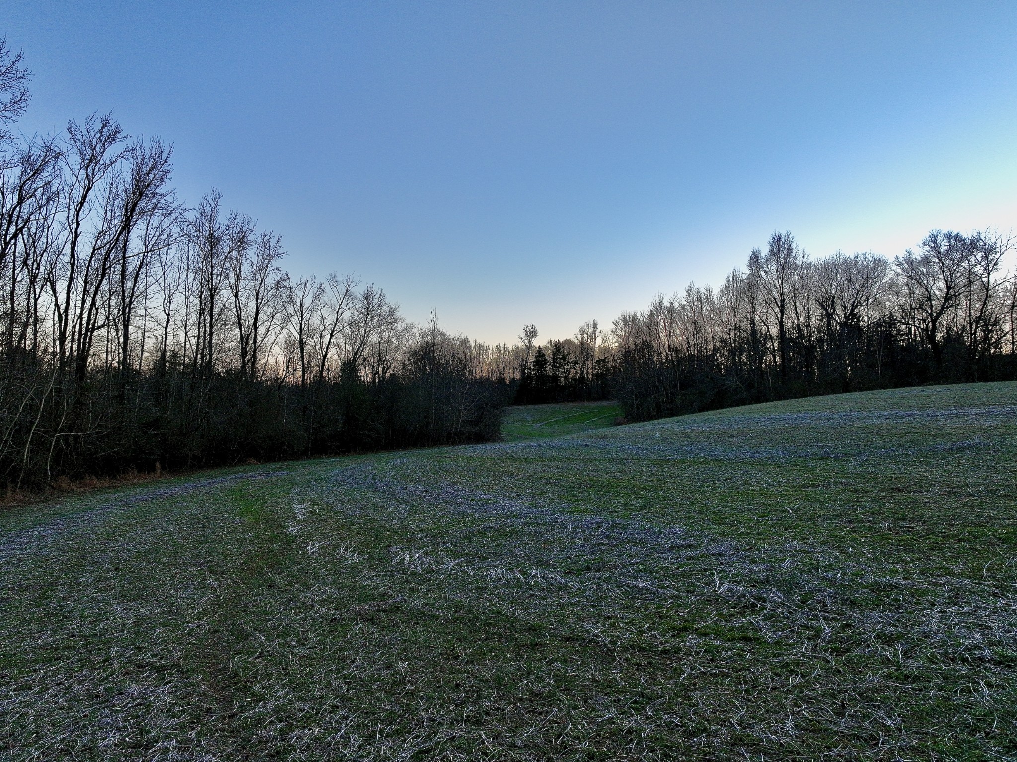 1 Kermet Turner Road Rock Island, TN 38581 - Photo 12 of 19 a view of a field of grass and trees