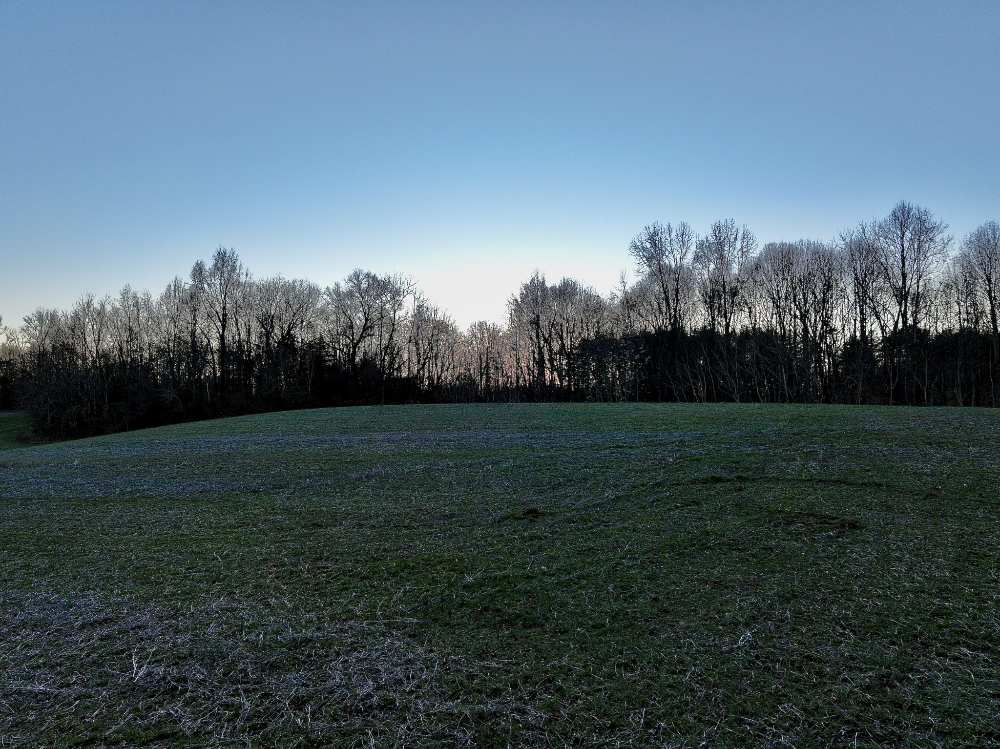 1 Kermet Turner Road Rock Island, TN 38581 - Photo 13 of 19 a view of field with trees in the background