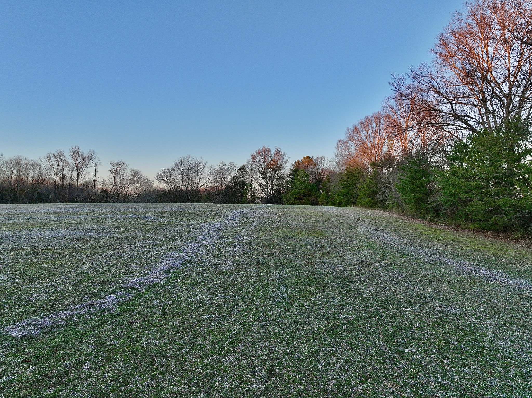 1 Kermet Turner Road Rock Island, TN 38581 - Photo 16 of 19 a view of a field with trees in background