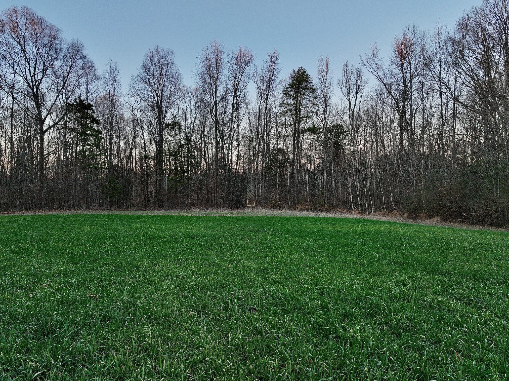 1 Kermet Turner Road Rock Island, TN 38581 - Photo 2 of 19 a view of a yard