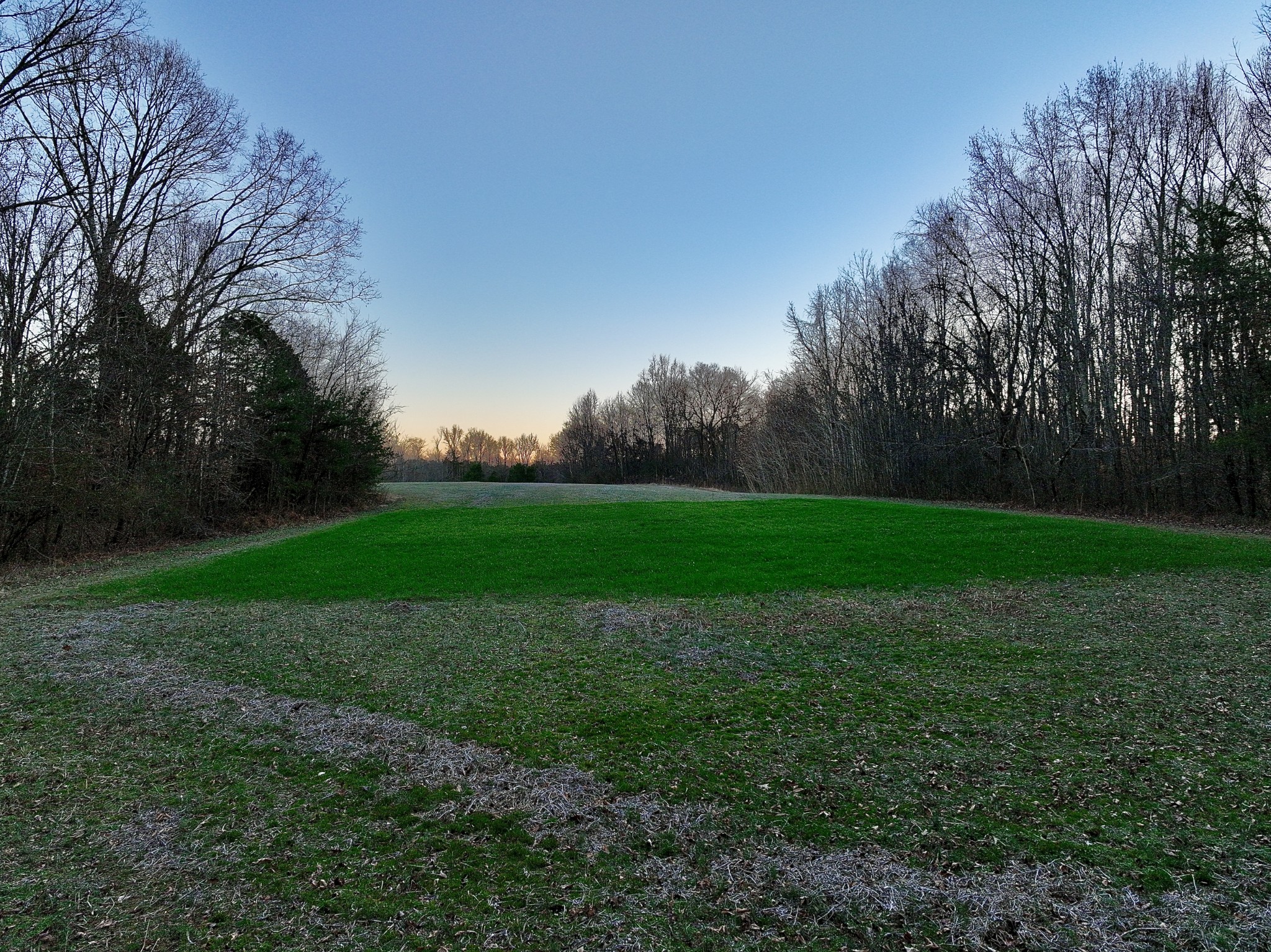 1 Kermet Turner Road Rock Island, TN 38581 - Photo 10 of 19 a view of a backyard with large trees
