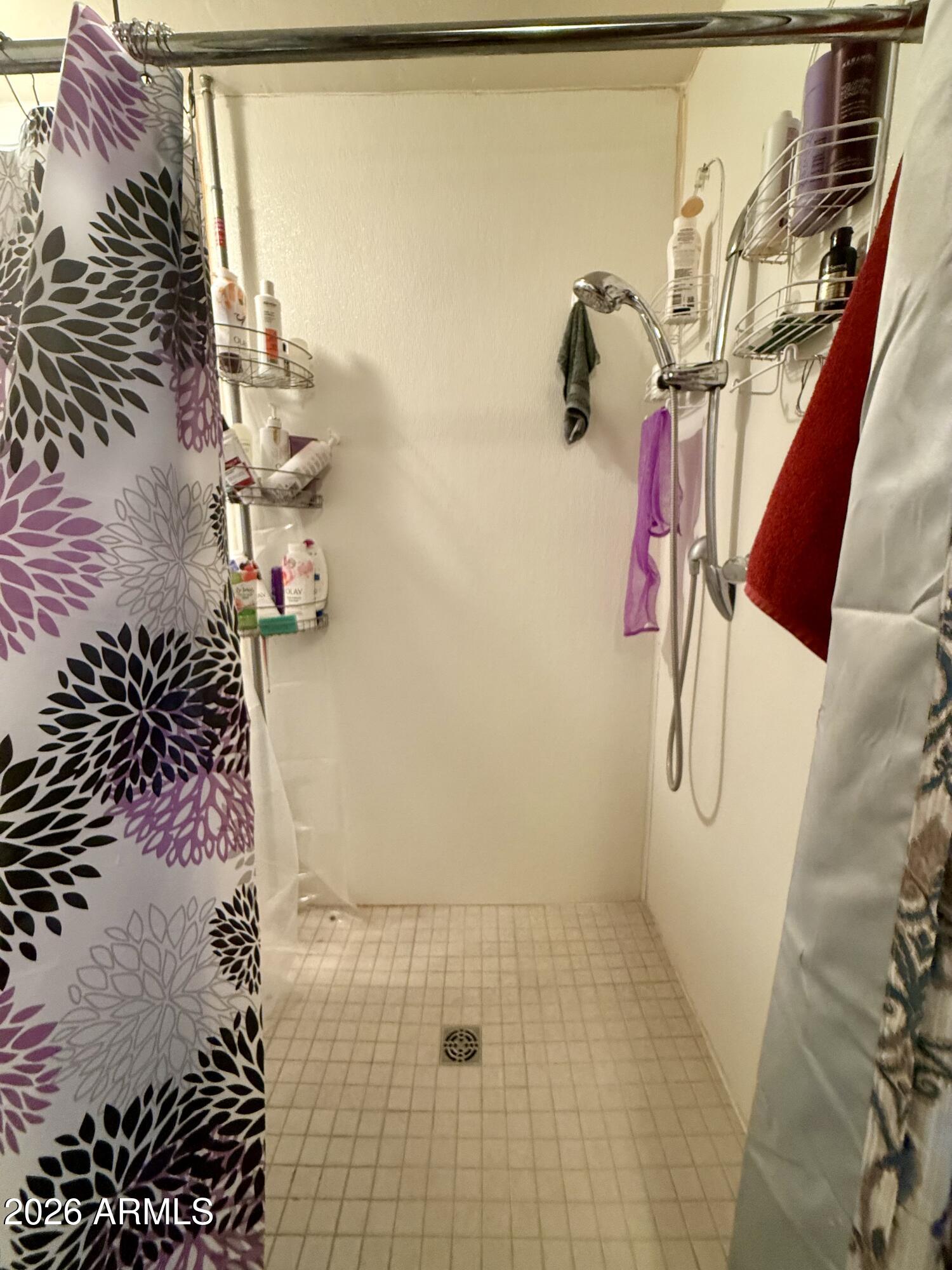 300 Airport Road, Unit 34 Kearny, AZ 85137 - Photo 12 of 18 a bathroom with a shower