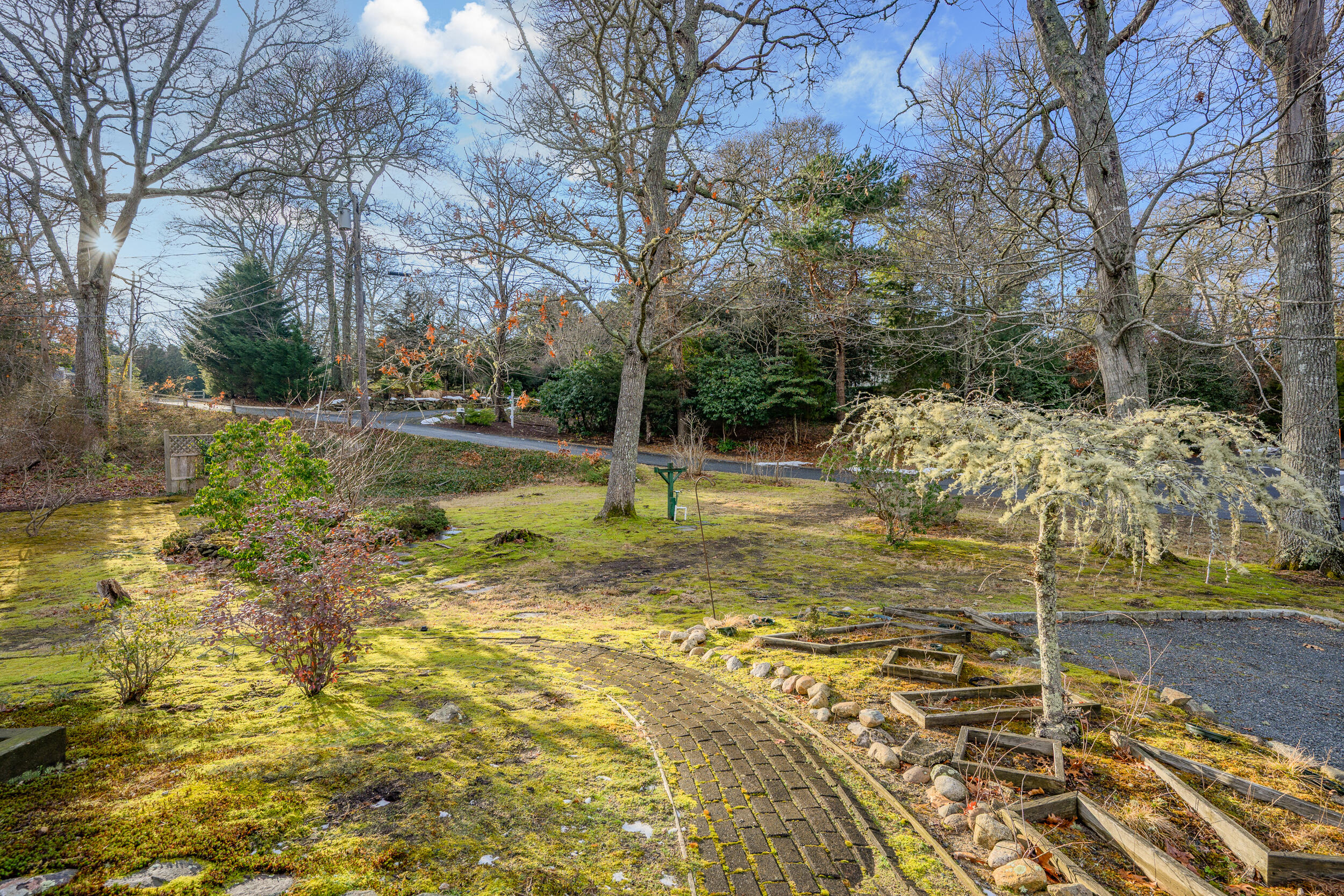 3 Nickerson Road Orleans, MA 02653 - Photo 22 of 30 a view of yard with tree