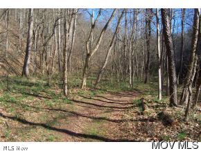 0 C Road Walker, WV 26180 - Photo 5 of 8 Gallery Image 5