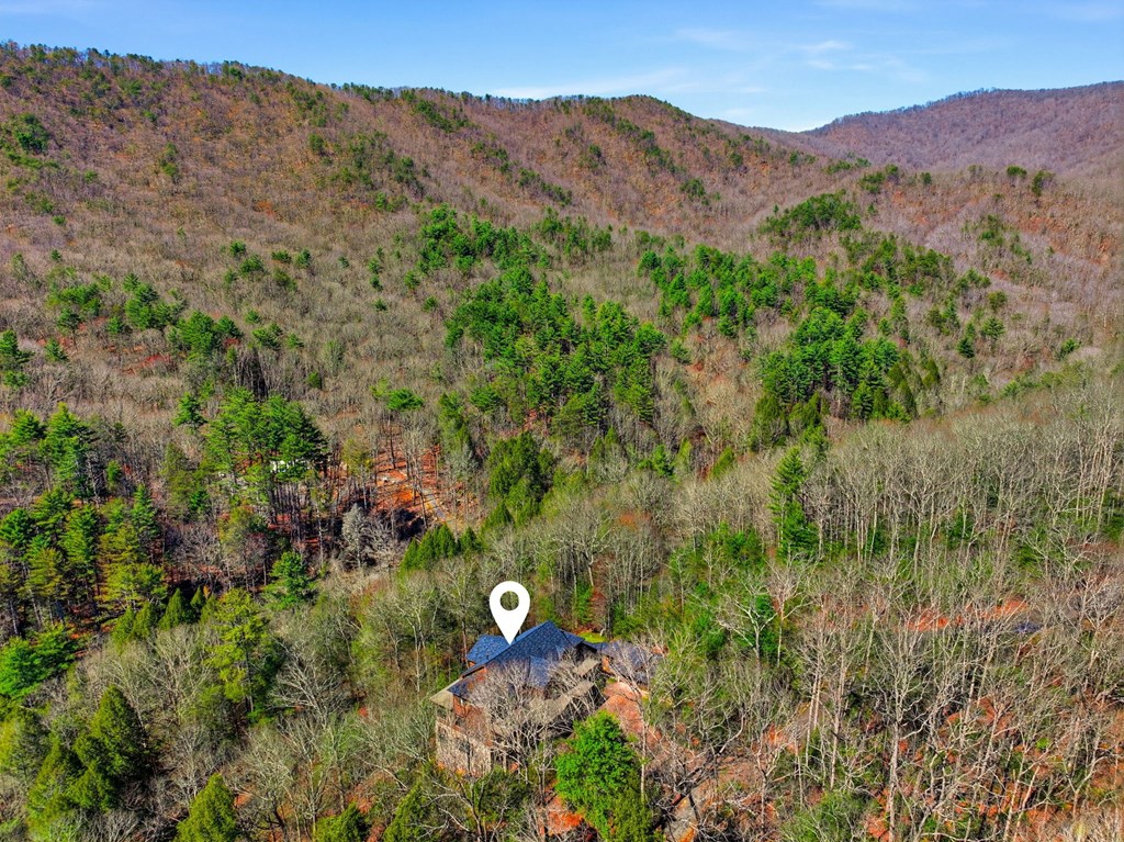 124 Wilderness Way Ellijay, GA 30536 - Photo 3 of 116