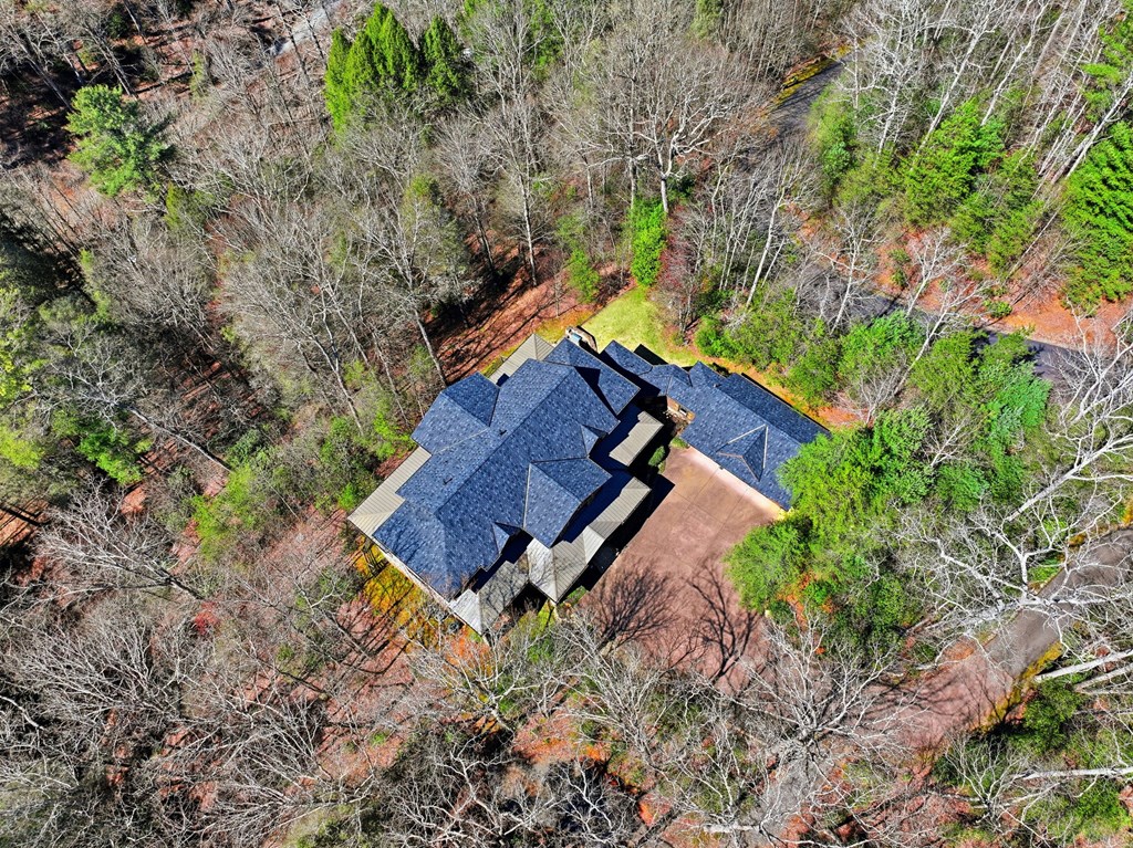 124 Wilderness Way Ellijay, GA 30536 - Photo 4 of 116