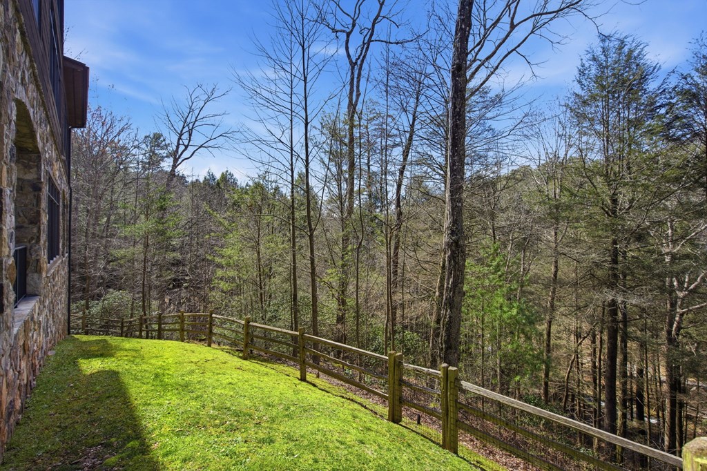 124 Wilderness Way Ellijay, GA 30536 - Photo 88 of 116