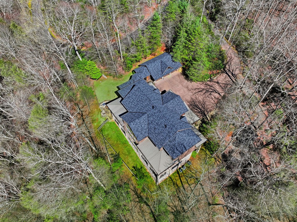 124 Wilderness Way Ellijay, GA 30536 - Photo 94 of 116