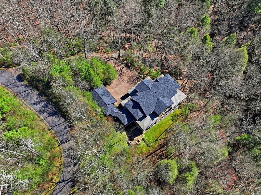 124 Wilderness Way Ellijay, GA 30536 - Photo 96 of 116