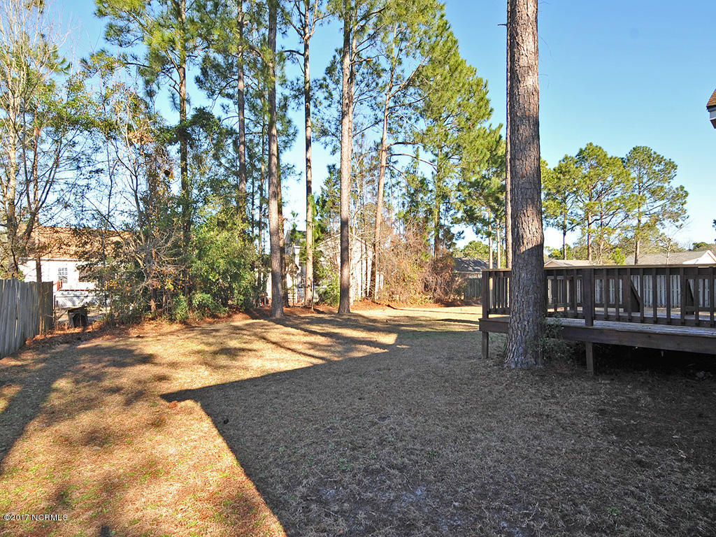 316 Albemarle Road Wilmington, NC 28405 - Photo 20 of 23 26-Backyard 2