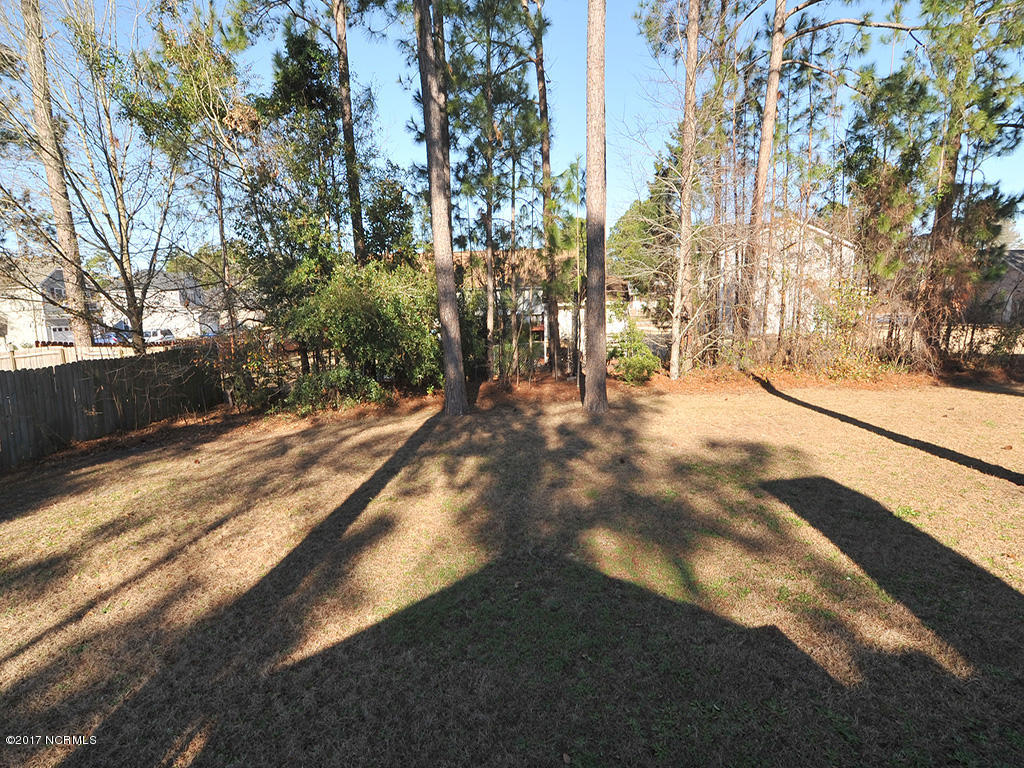 316 Albemarle Road Wilmington, NC 28405 - Photo 21 of 23 27-Backyard