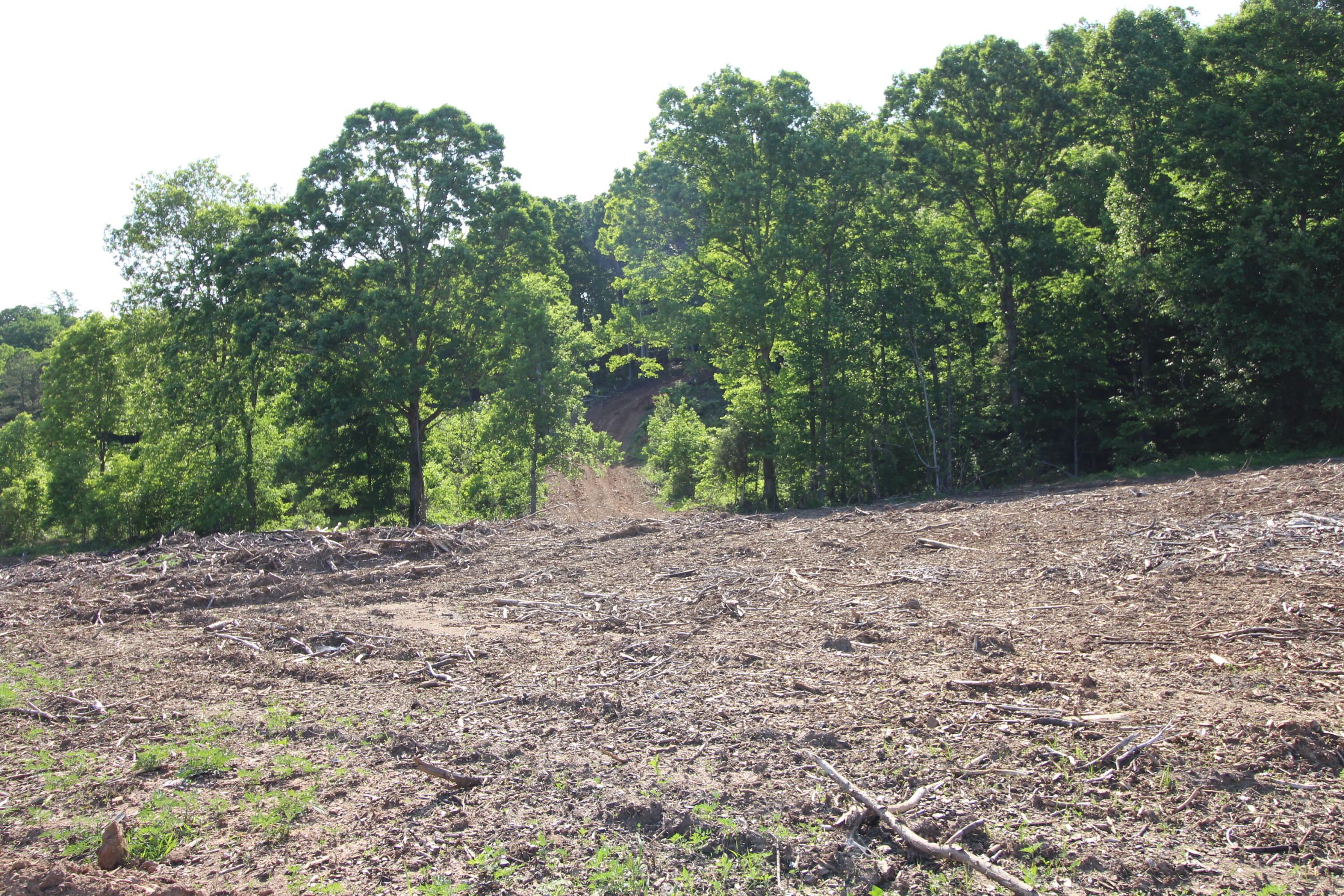 2 Dogtown Road Ten Mile, TN 37880 - Photo 14 of 33 IMG_4901