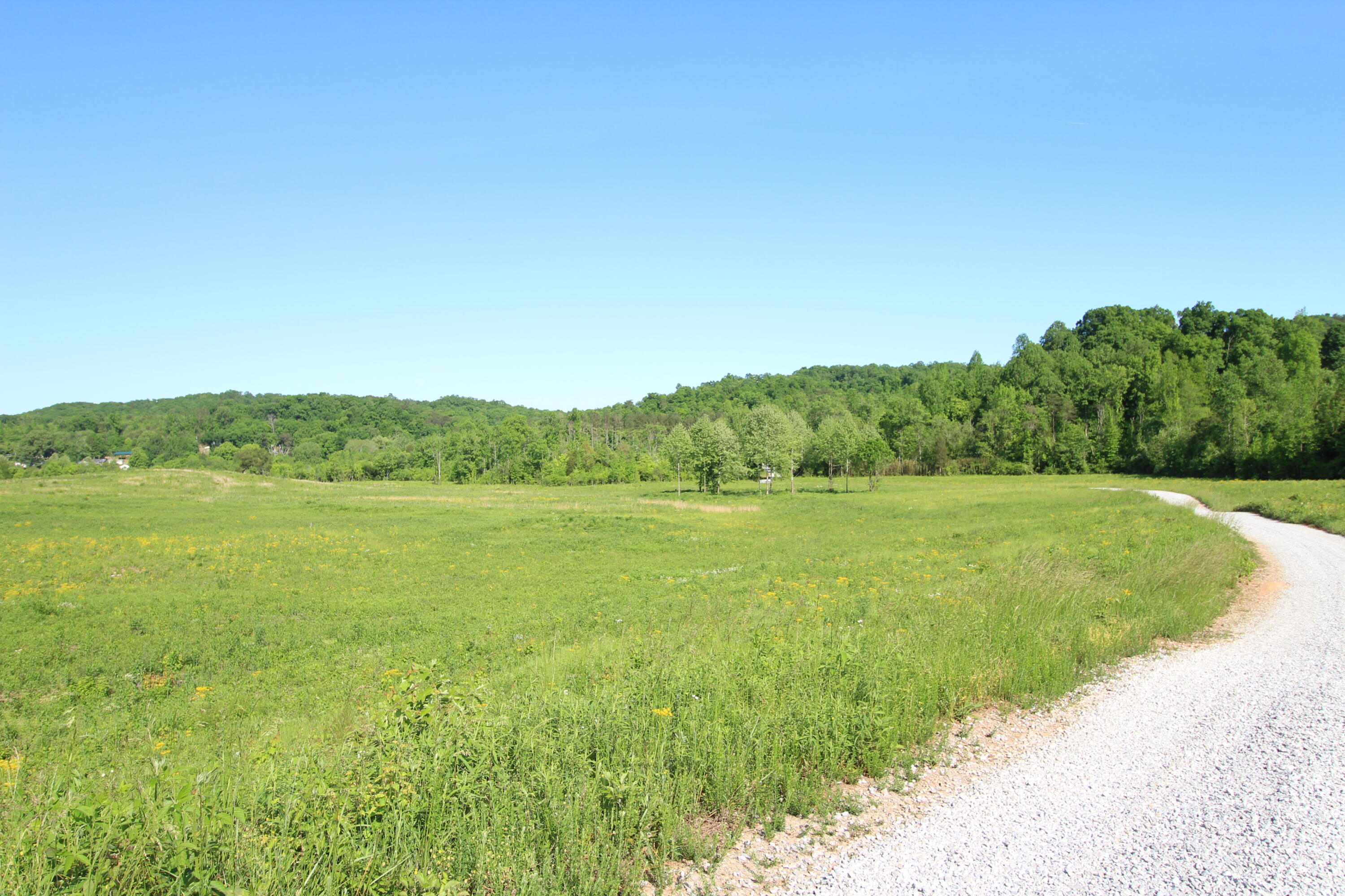 2 Dogtown Road Ten Mile, TN 37880 - Photo 16 of 33 IMG_4906