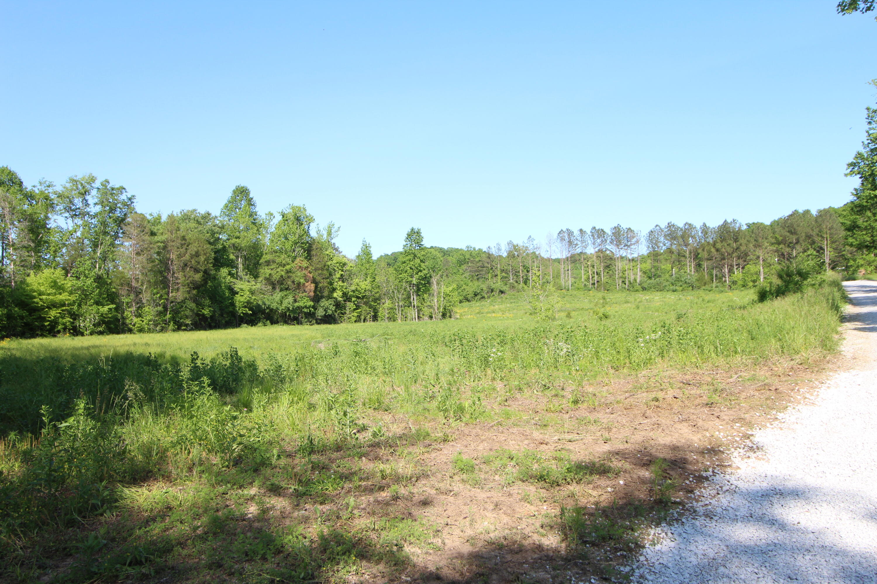 2 Dogtown Road Ten Mile, TN 37880 - Photo 18 of 33 IMG_4912