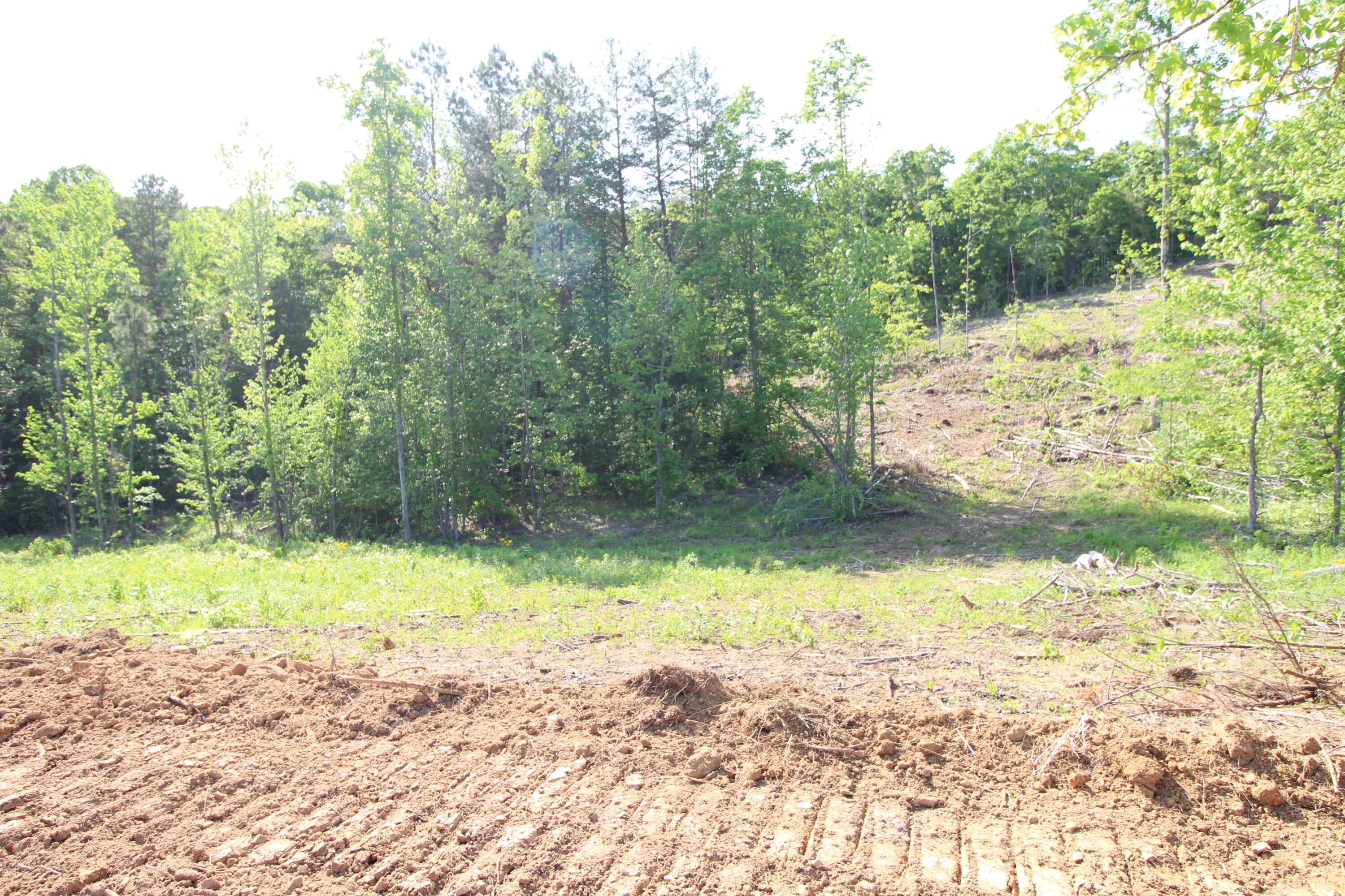 2 Dogtown Road Ten Mile, TN 37880 - Photo 7 of 33 IMG_4882