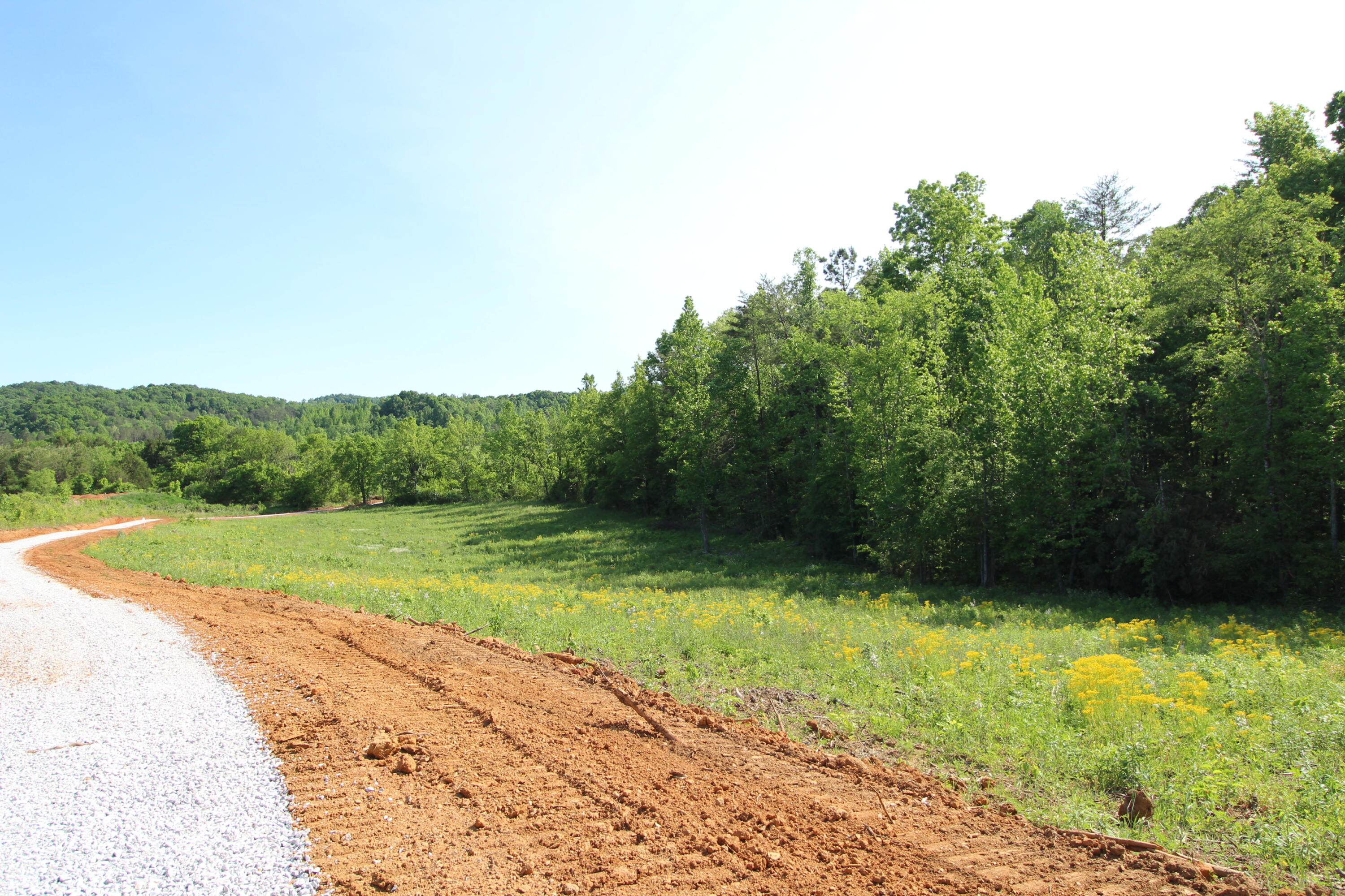 2 Dogtown Road Ten Mile, TN 37880 - Photo 8 of 33 IMG_4885