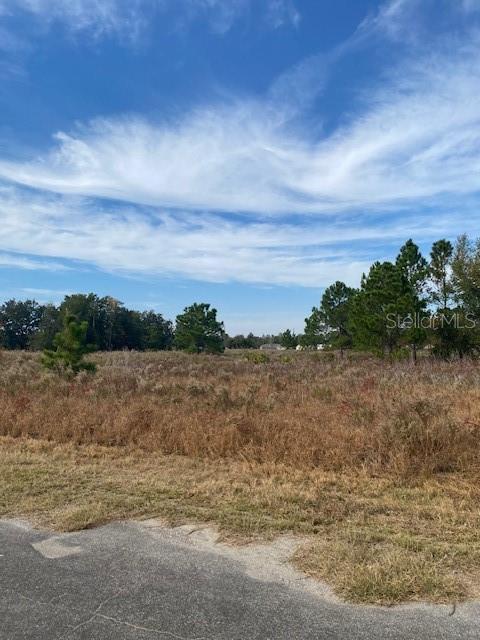 40 Maple Lane Ocklawaha, FL 32179 - Photo 39 of 50 a view of lake