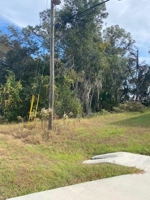 40 Maple Lane Ocklawaha, FL 32179 - Photo 41 of 50 a view of a park with a slide