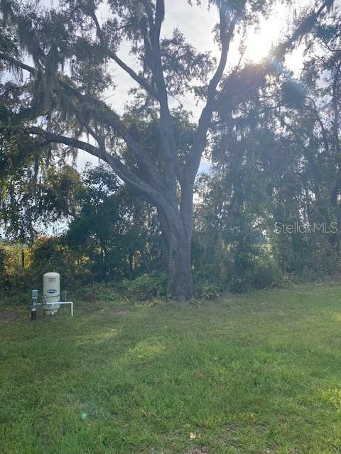 40 Maple Lane Ocklawaha, FL 32179 - Photo 42 of 50 a backyard of a house with lots of green space and lake view