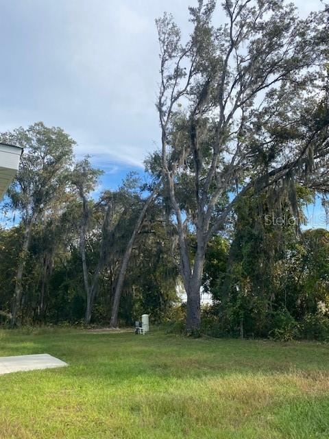 40 Maple Lane Ocklawaha, FL 32179 - Photo 47 of 50 a view of a golf course