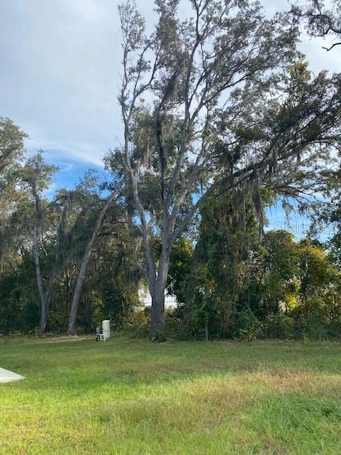 40 Maple Lane Ocklawaha, FL 32179 - Photo 48 of 50 a view of a trees in a yard
