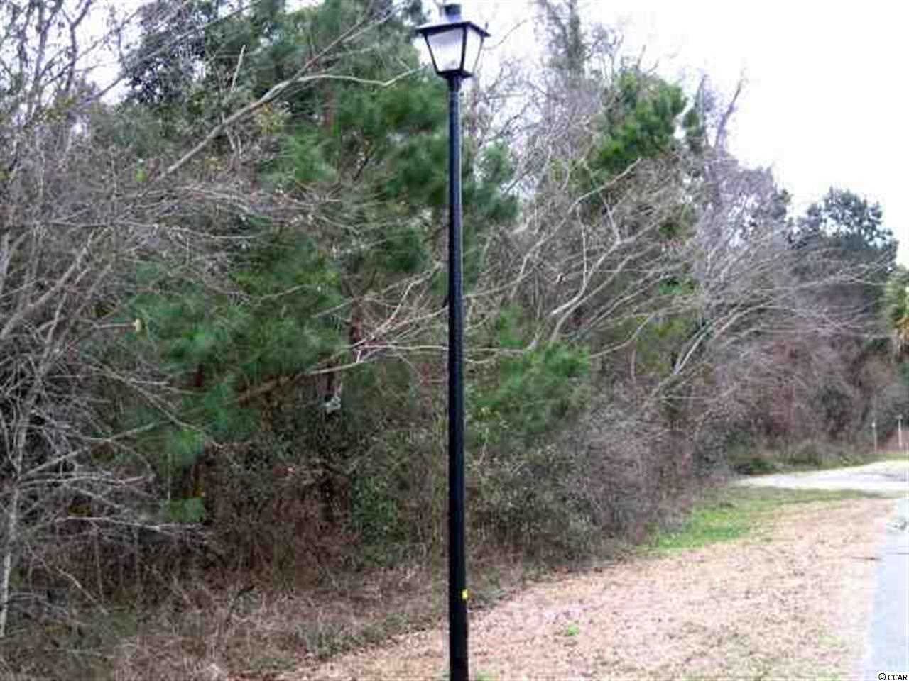 729 Patrick Road Murrells Inlet, SC 29576 - Photo 4 of 5 Gallery Image 4