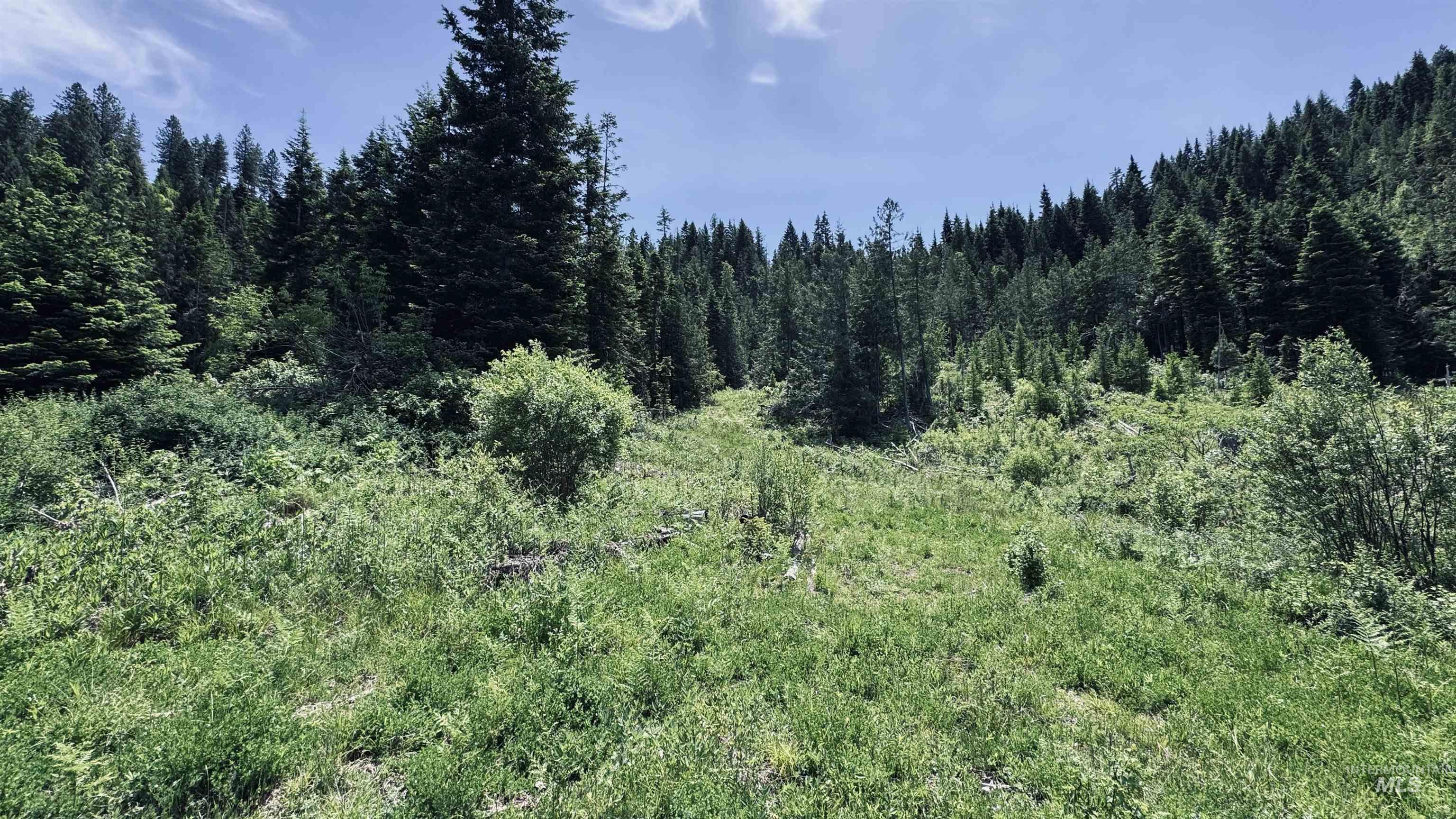 Tbd Glenwood Road Kamiah, ID 83536 - Photo 48 of 50