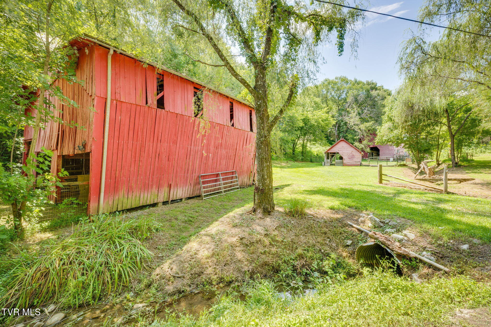 1355 Jackson Hollow Road Mosheim, TN 37818 - Photo 44 of 95 043 (2)
