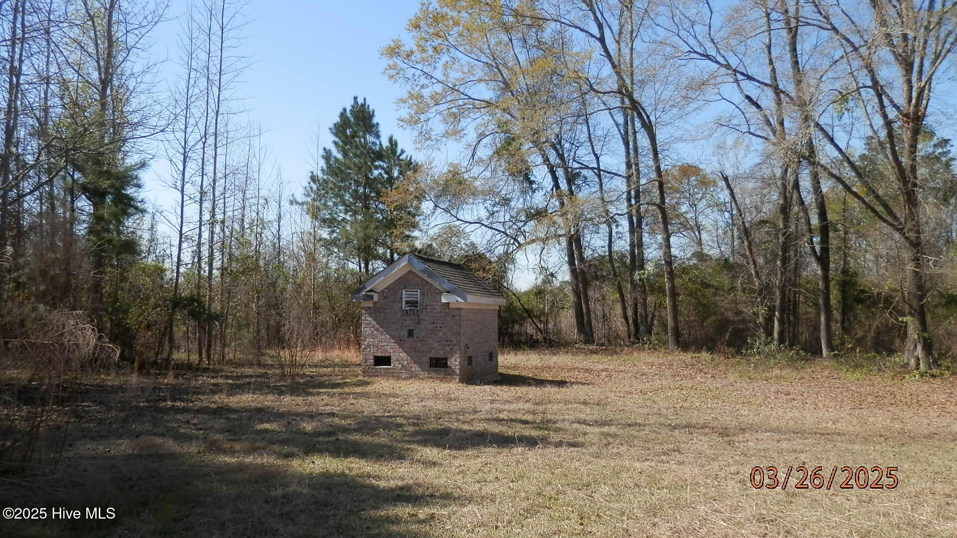 4501 Arthur Collier Road Evergreen, NC 28438 - Photo 10 of 45 4501 3-26zd