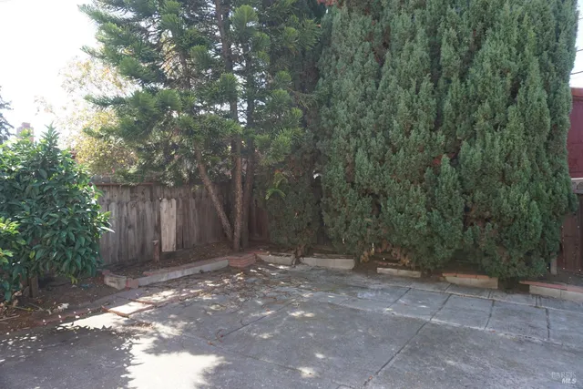 a view of a backyard