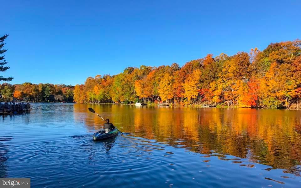 2031 Lakewinds Drive Reston, VA 20191 - Photo 36 of 38 Fall views across the Lake
