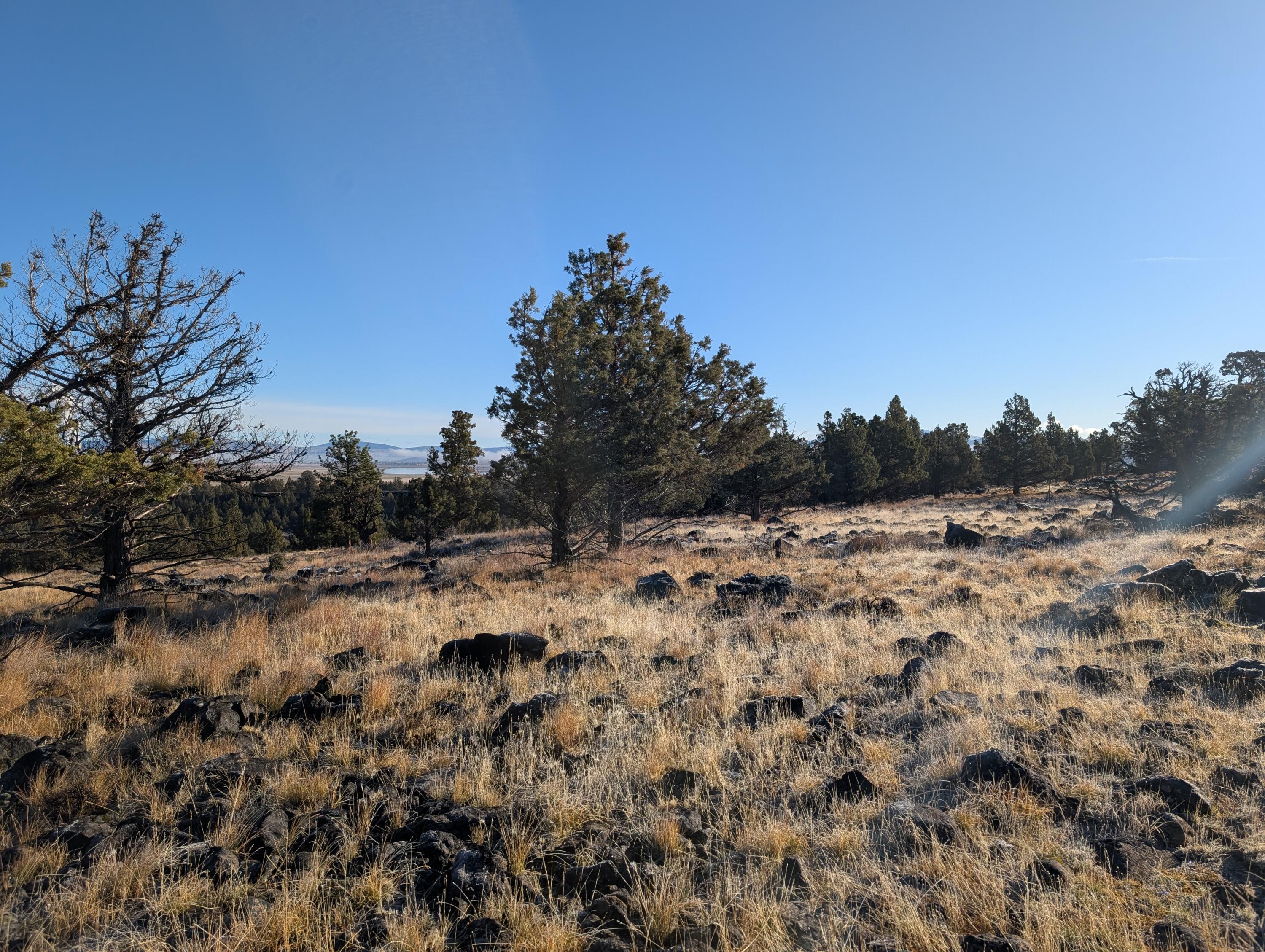 Cedar Trail Klamath Falls, OR 97603 - Photo 12 of 24 PXL_20251027_162012742.MP