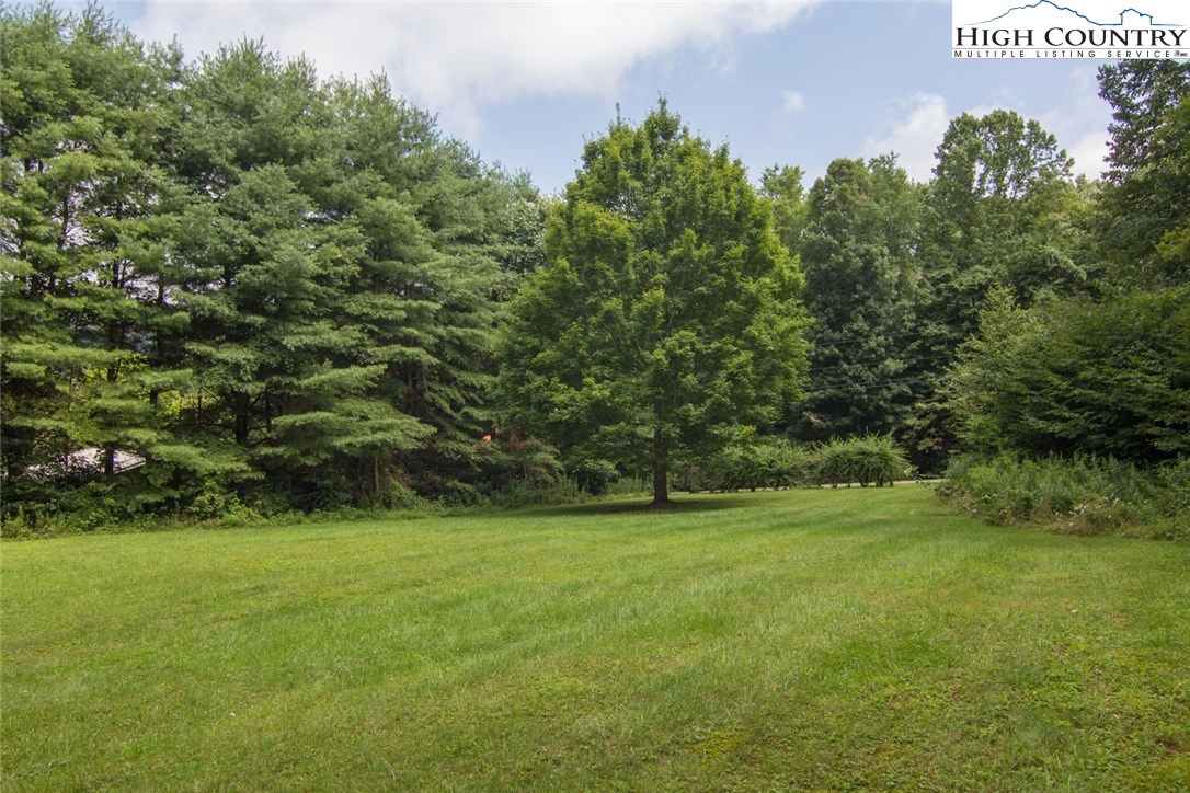 Calloway Road Boone, NC 28607 - Photo 4 of 11