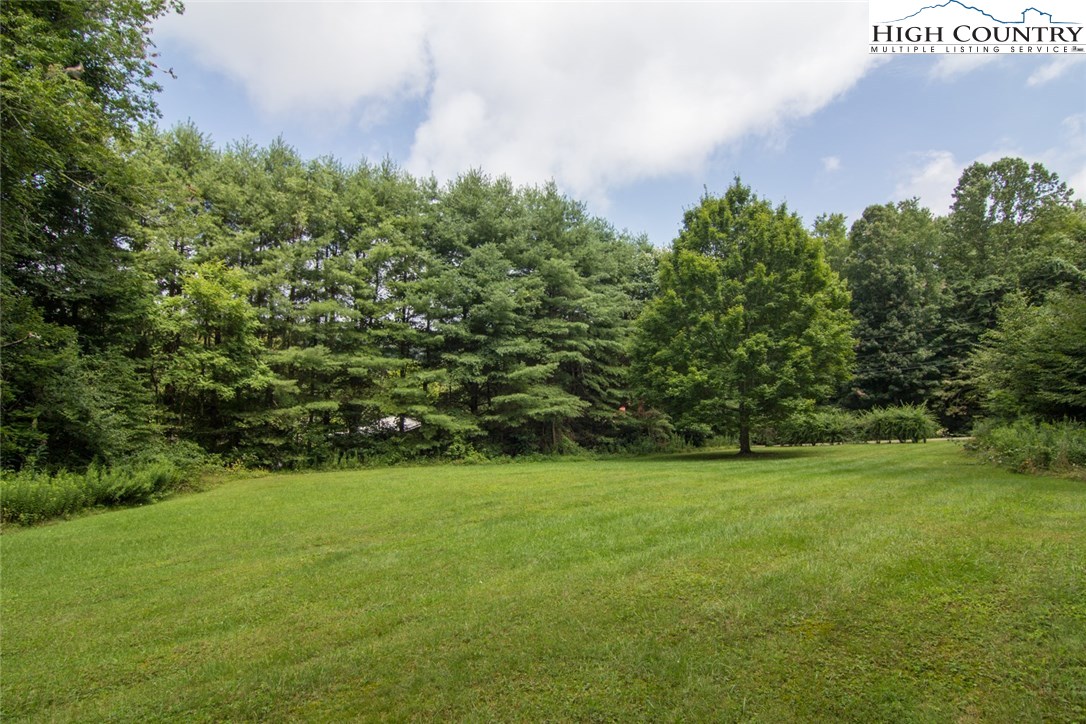 Calloway Road Boone, NC 28607 - Photo 5 of 11