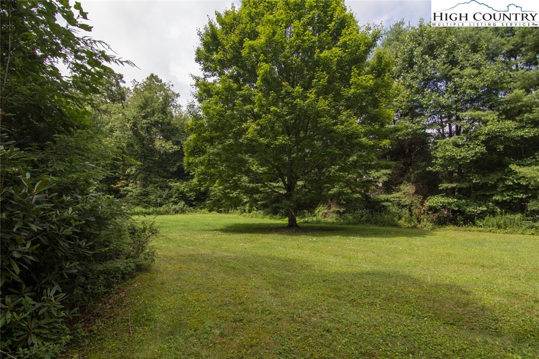 Calloway Road Boone, NC 28607 - Photo 9 of 11