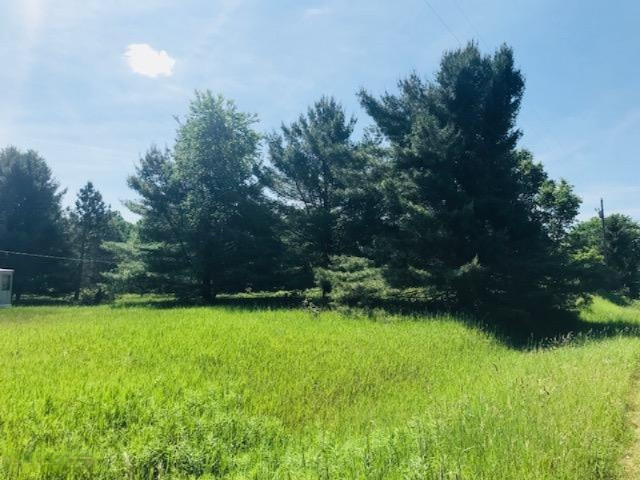 3825 Keith Road Brethren, MI 49619 - Photo 1 of 6 IMG_1957