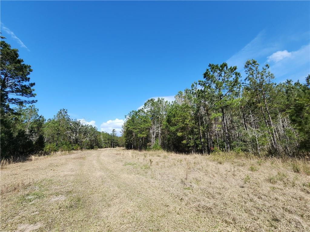1012 Star Ranch Road Brunswick, GA 31523 - Photo 12 of 43
