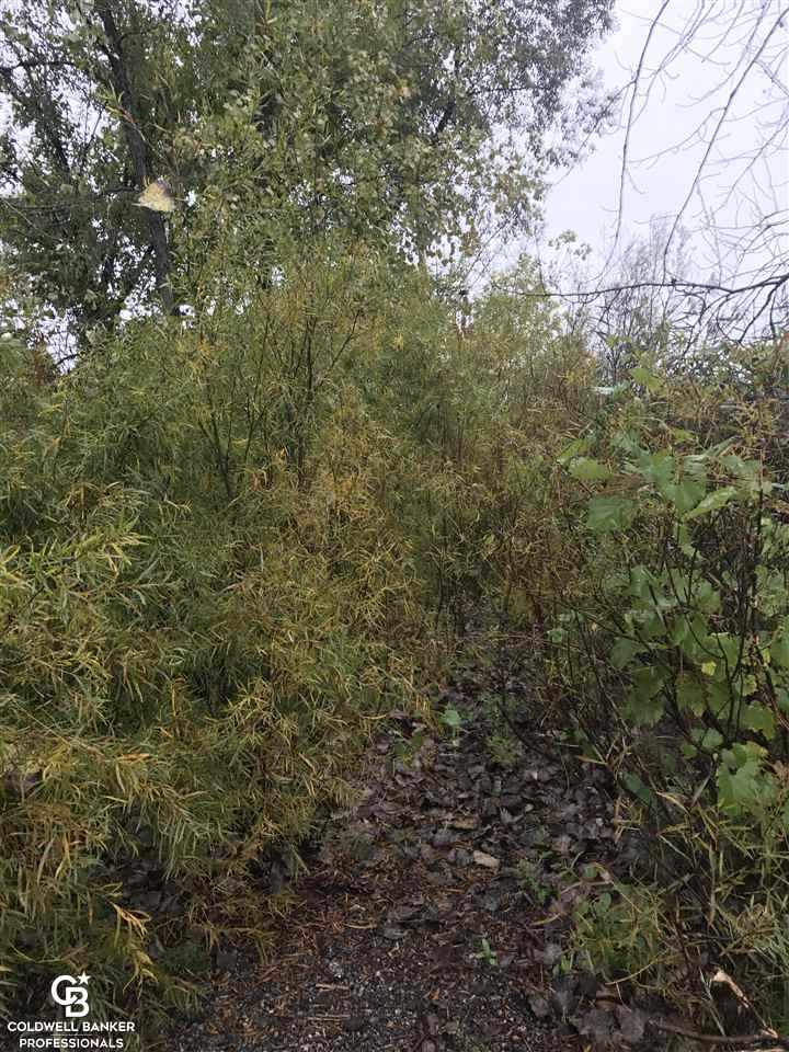 0 South Brockway Road Yale, MI 48097 - Photo 1 of 6
