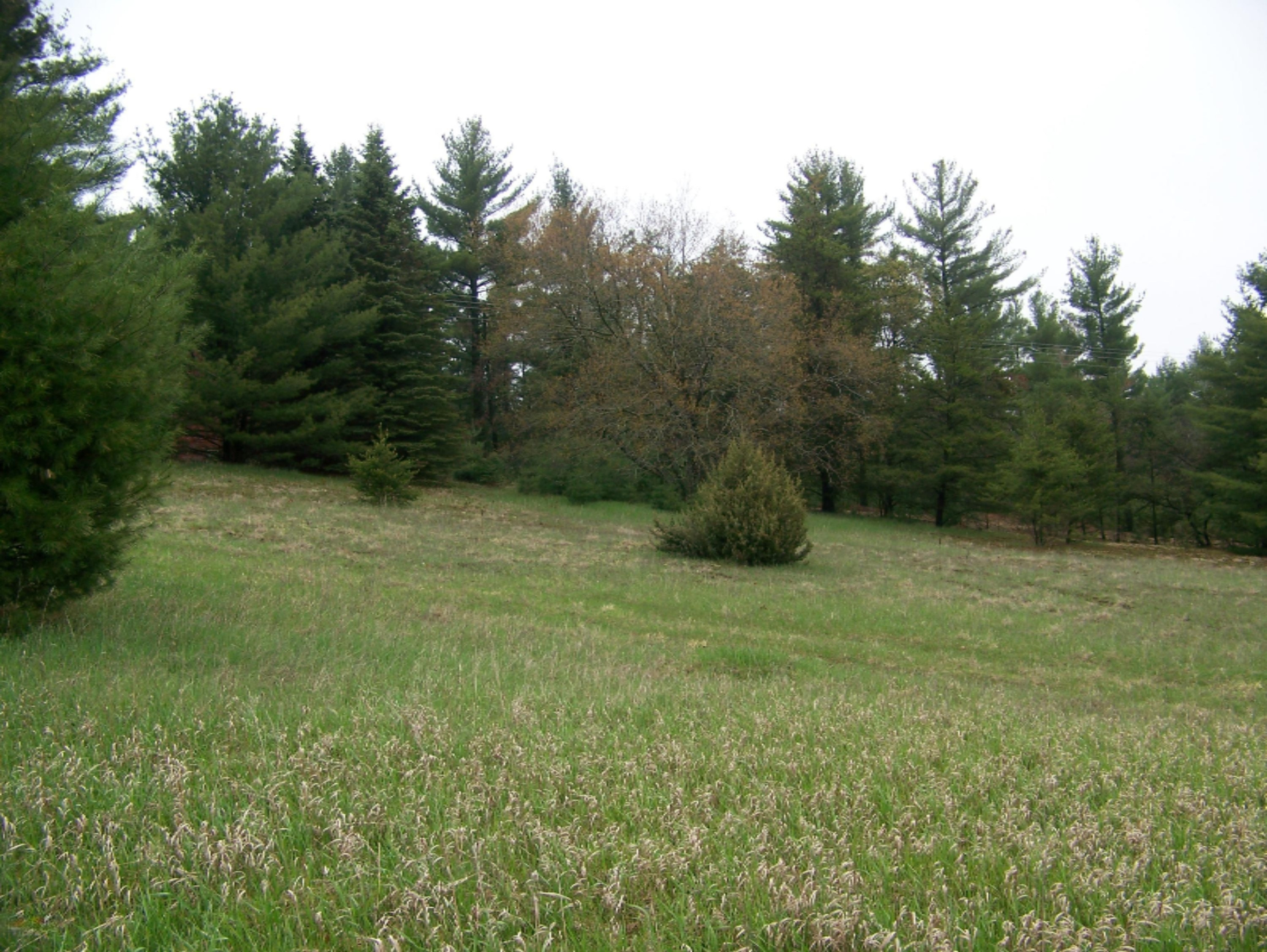 20690 Orono Road Reed City, MI 49677 - Photo 3 of 15 100_4309