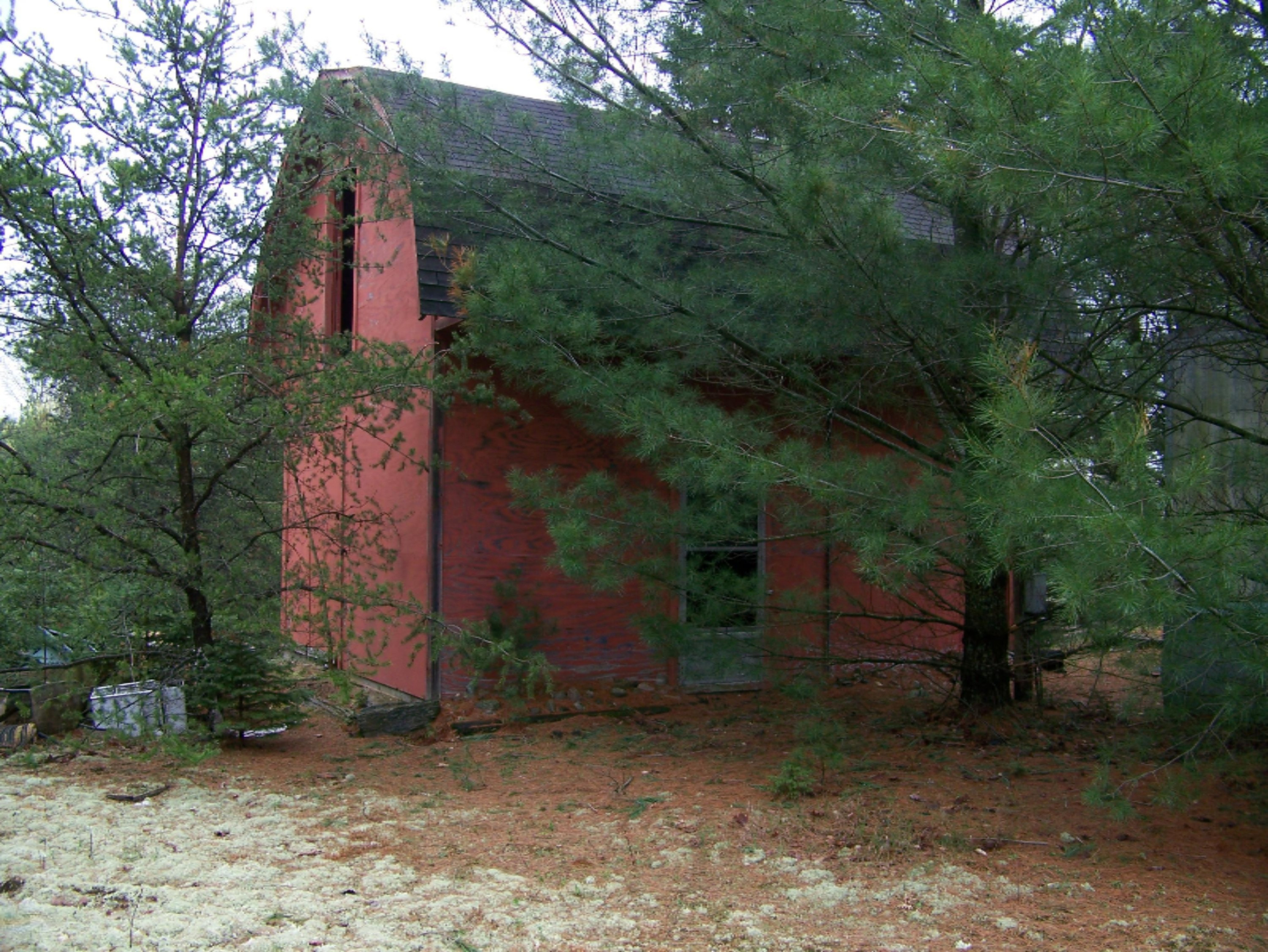 20690 Orono Road Reed City, MI 49677 - Photo 4 of 15 100_4311
