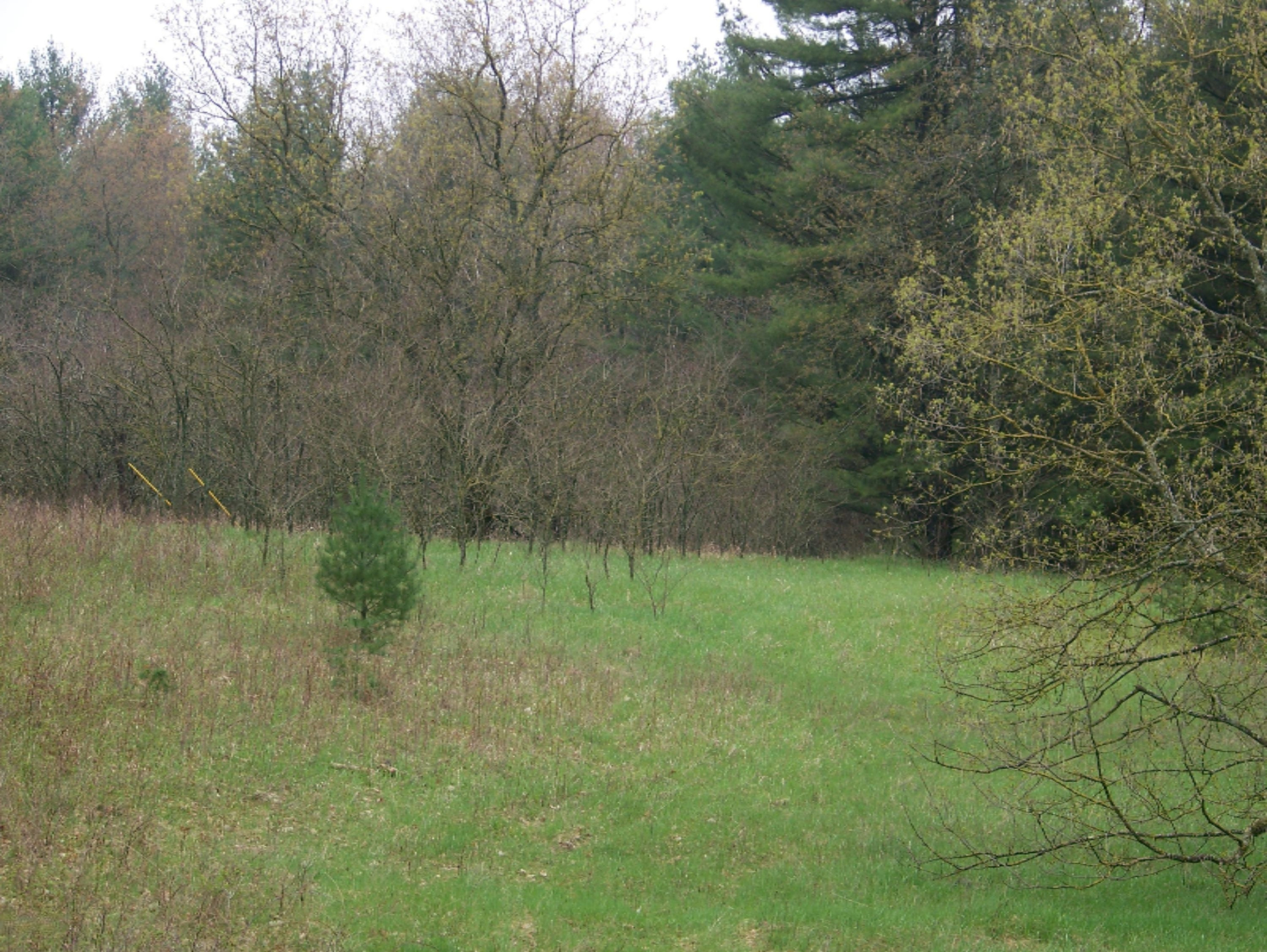 20690 Orono Road Reed City, MI 49677 - Photo 6 of 15 100_4313