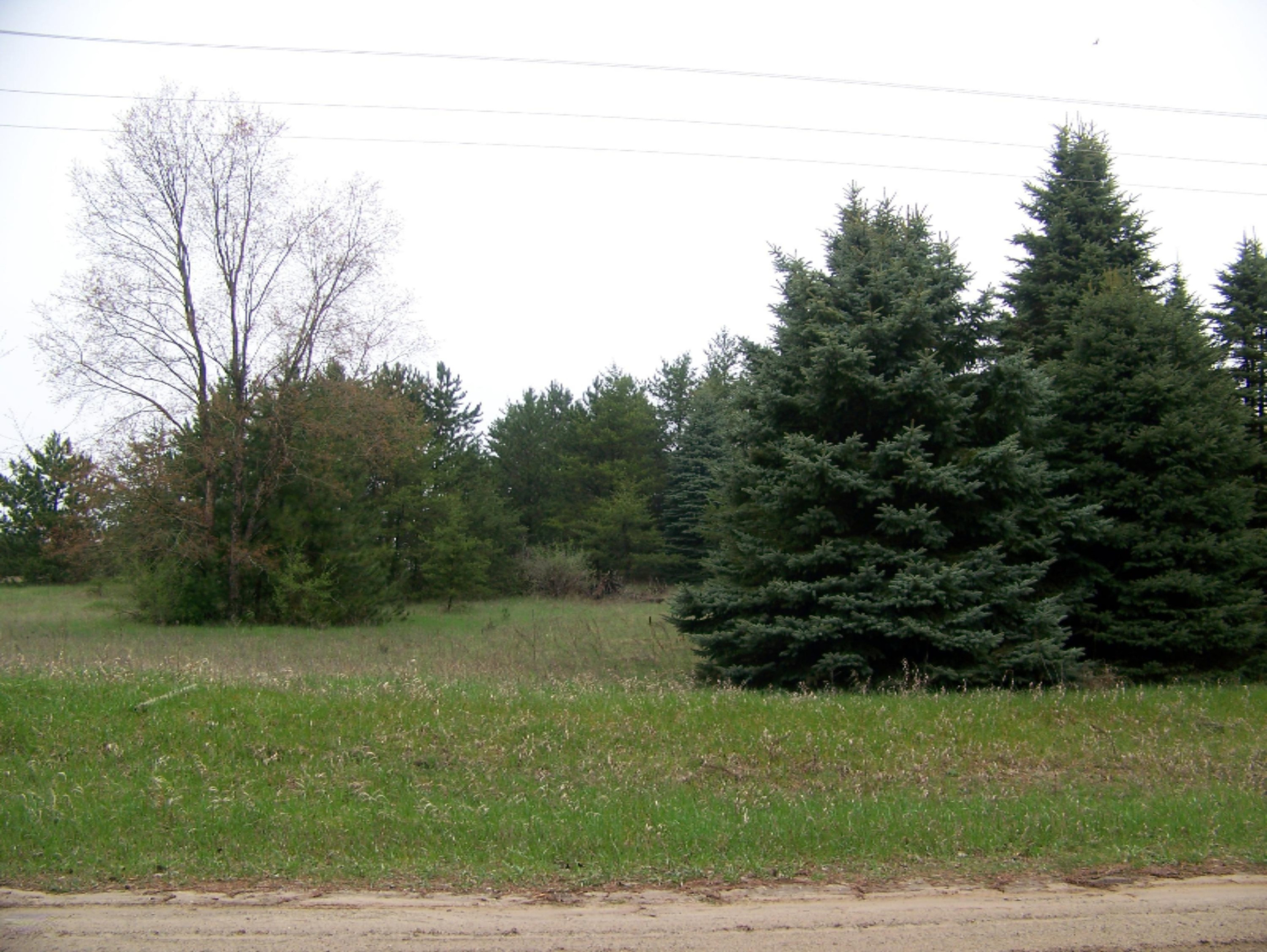 20690 Orono Road Reed City, MI 49677 - Photo 7 of 15 100_4314