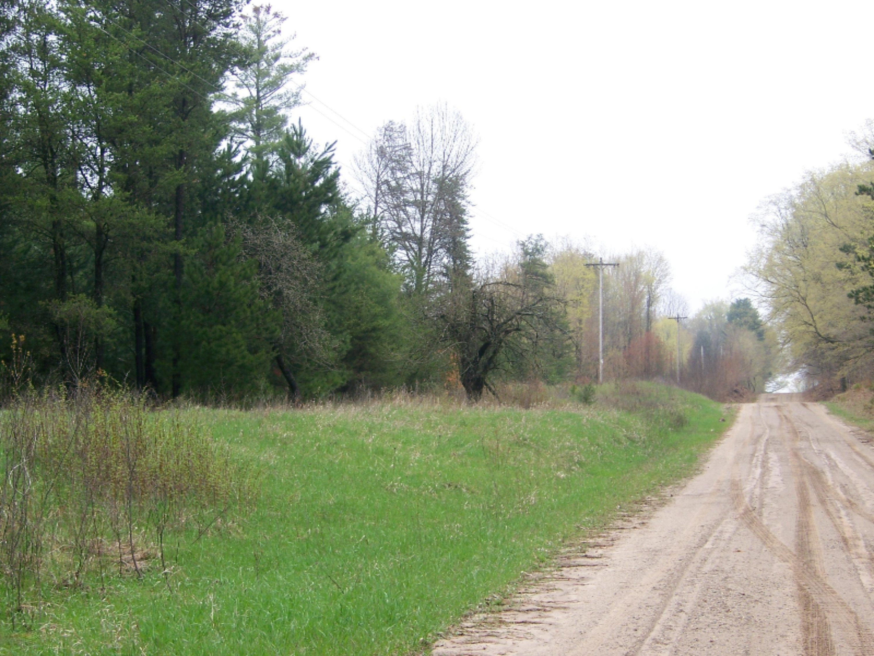 20690 Orono Road Reed City, MI 49677 - Photo 9 of 15 100_4316