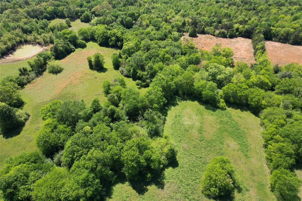 2846 County Road 2415 Pickton, TX 75471 - Photo 21 of 23 a view of a garden with a house