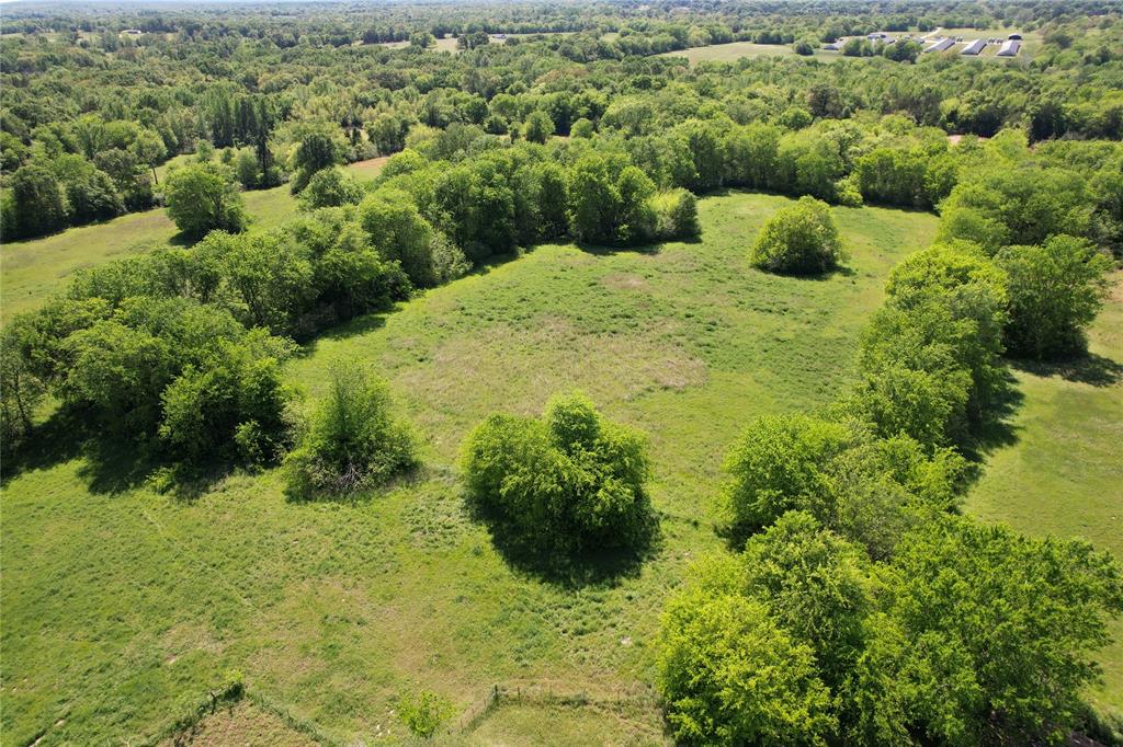 2846 County Road 2415 Pickton, TX 75471 - Photo 22 of 23 a view of a garden with a building